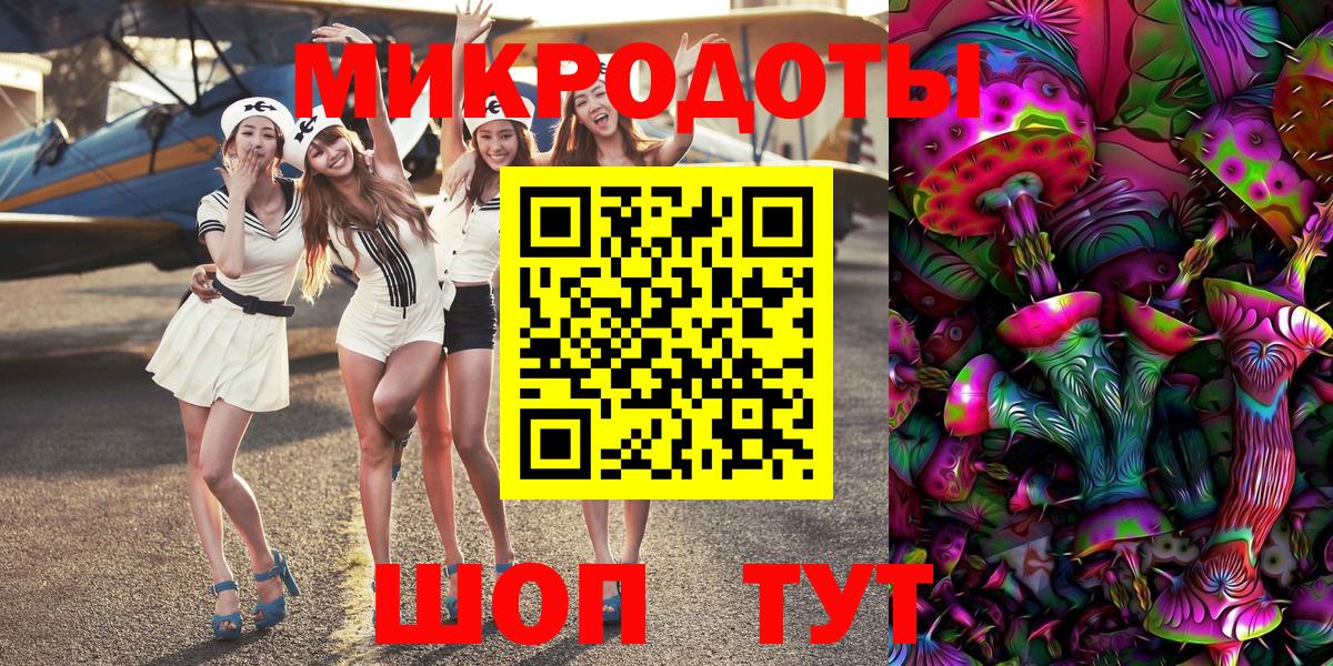 Псилоцибиновые грибы Psilocybine cubensis Лысьва