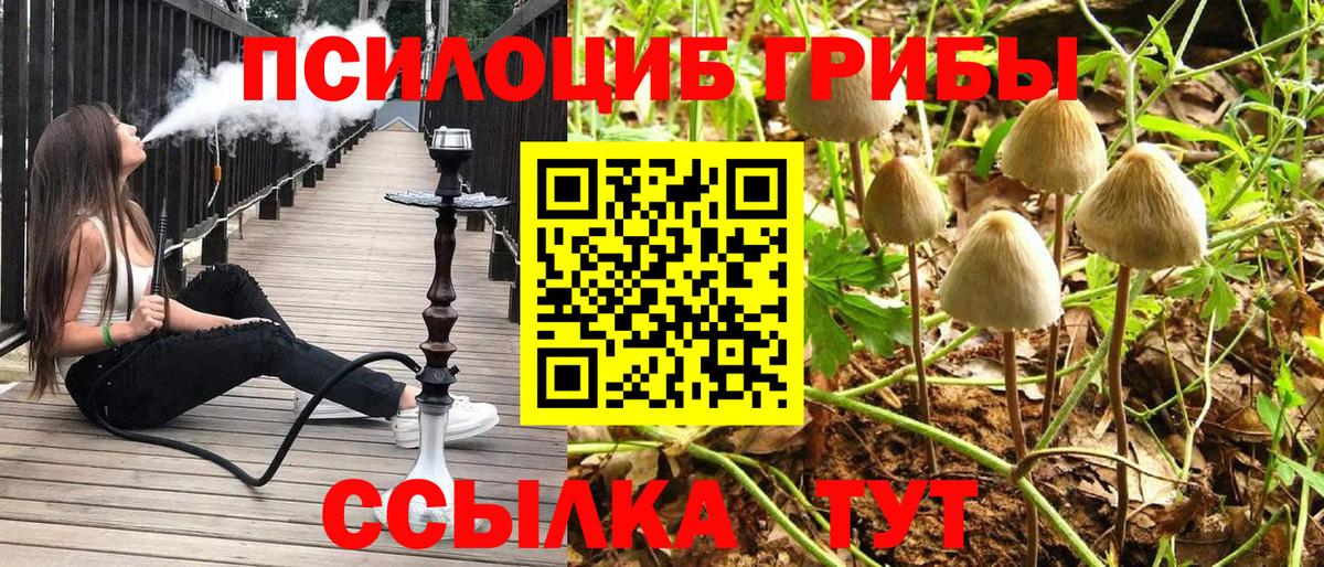 Галлюциногенные грибы мицелий  Вход с VPN  Лысьва  купить   Псилоцибиновые грибы MAGIC MUSHROOMS 